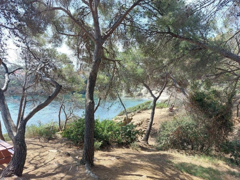 Charmant Mazet - Plage A Pied Saint-Peïre-sur-Mer Kültér fotó